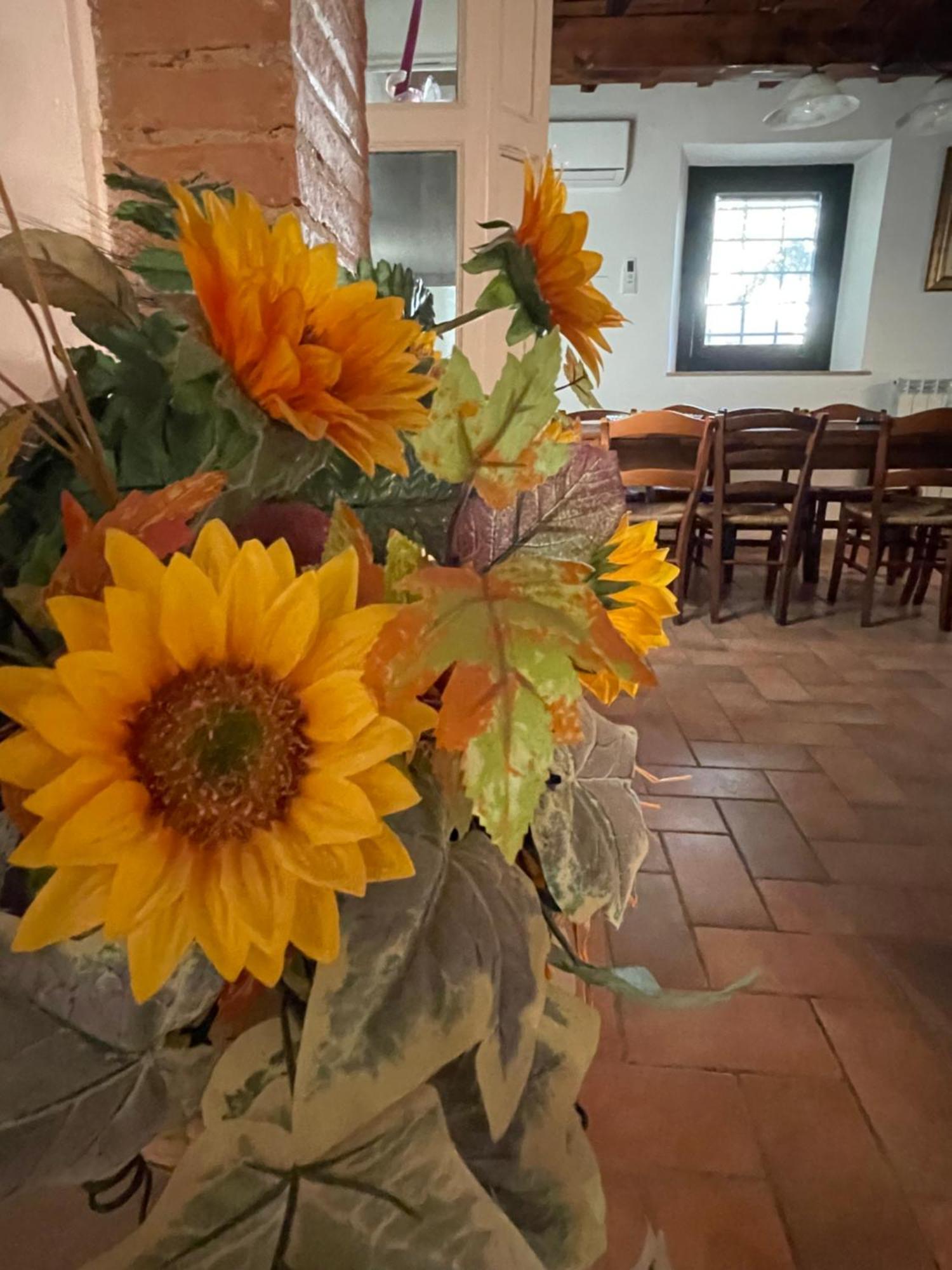 Intero Appartamento Con Private Pool E Jacuzzi Podere Settefrati Montaione Eksteriør bilde